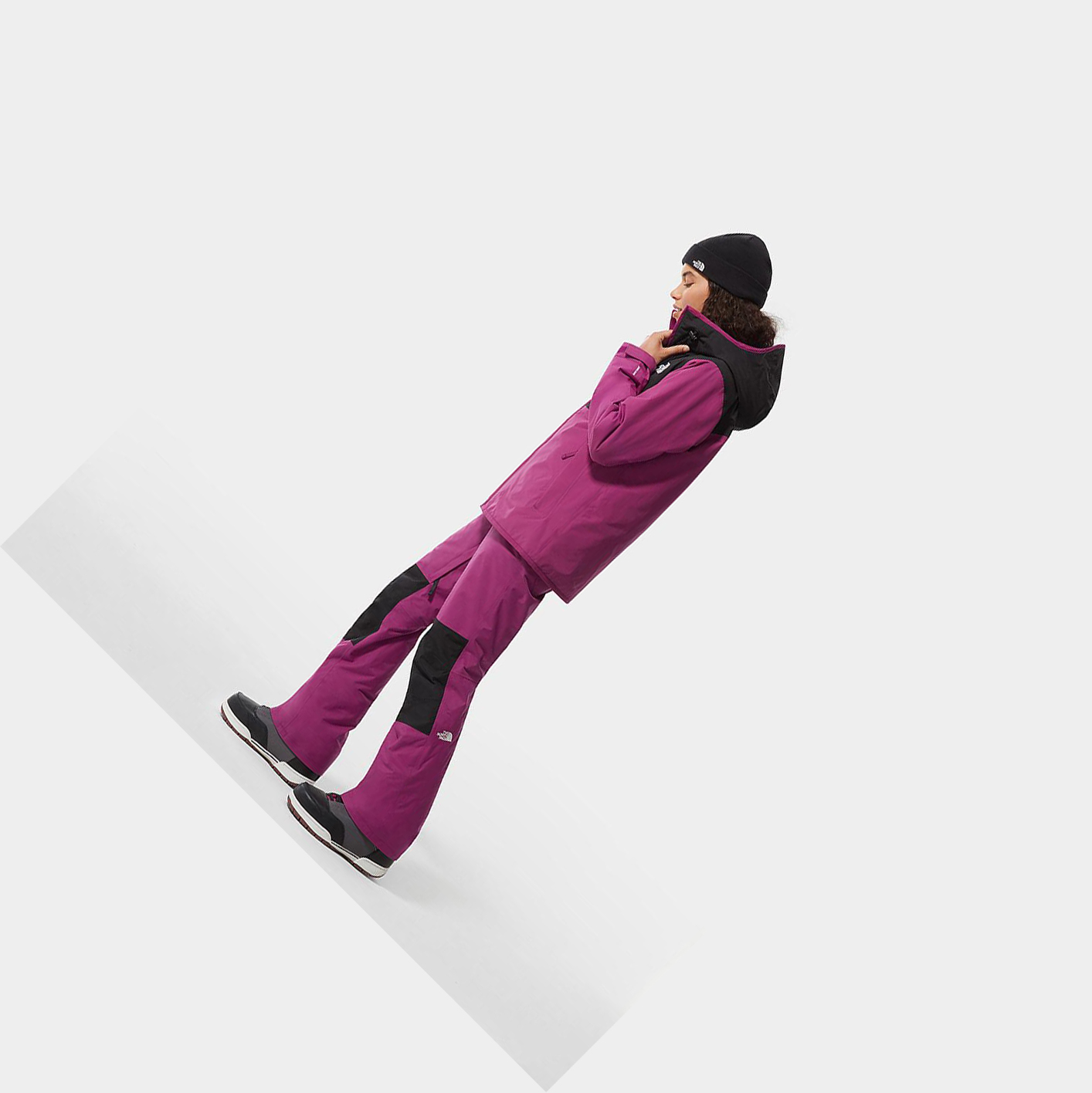 Women's The North Face Aboutaday Ski Ski Pants Purple | US897BREA