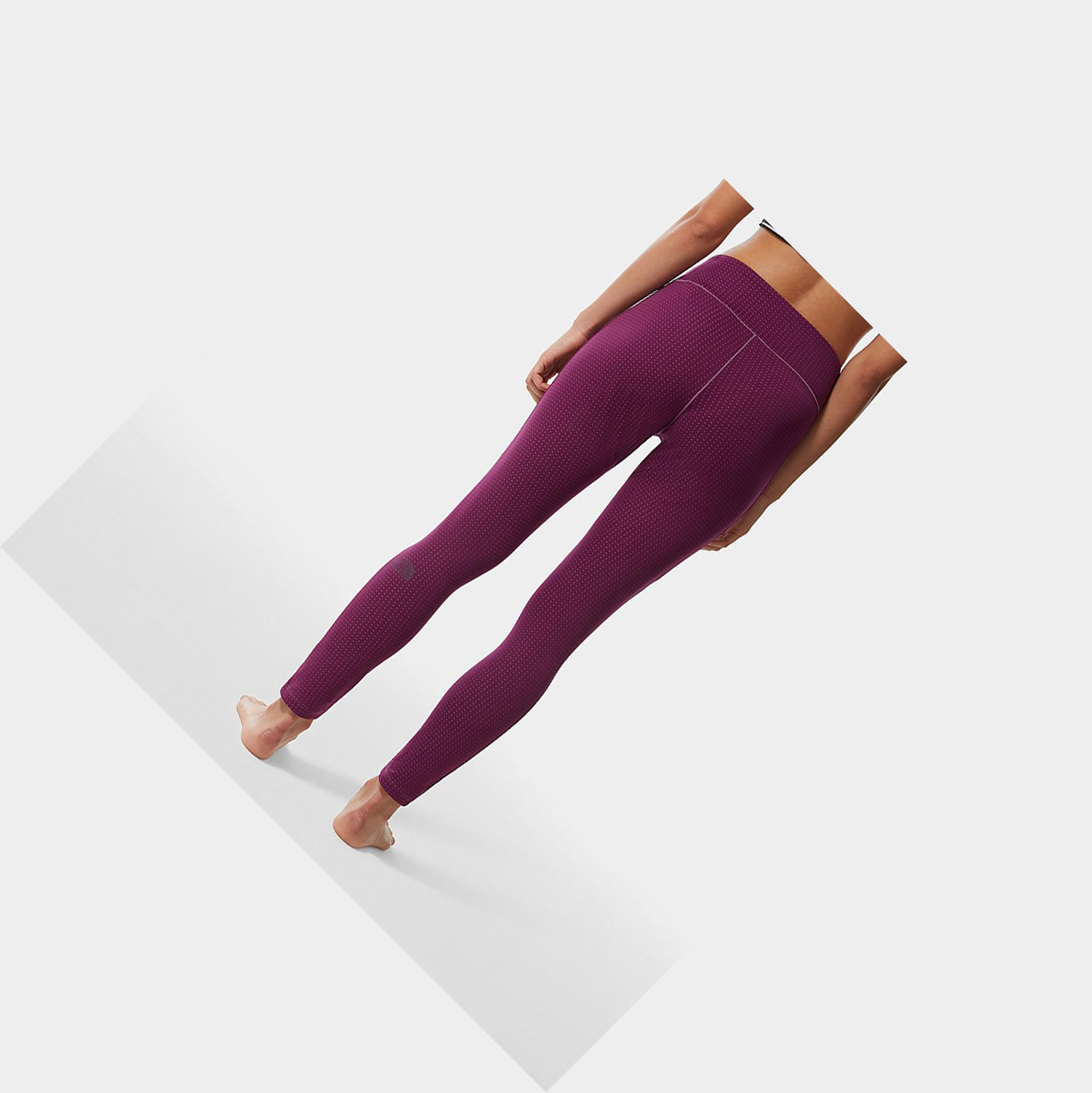 Women's The North Face DotKnit Baselayer Pants Purple | US982DRIG