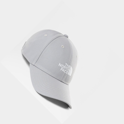 Men's The North Face 66 Classic Hats Grey | US230UDJB