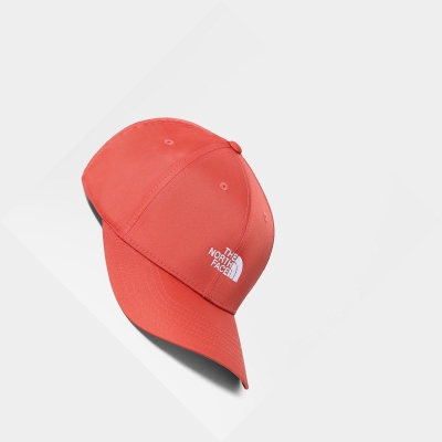 Men's The North Face 66 Classic Tech Caps Rose | US891QCLS