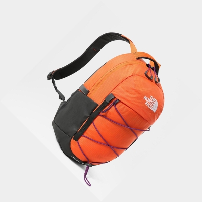 Men's The North Face BOREALIS MINI Backpacks Red Orange Purple | US580BVMZ