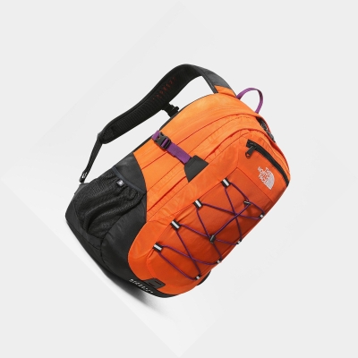 Men's The North Face Borealis Classic Backpacks Red Orange Purple | US157GZQW