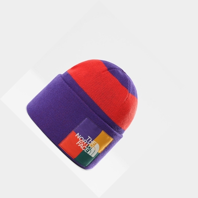 Men's The North Face Colourblock Knitted Beanies Purple | US940VHTL