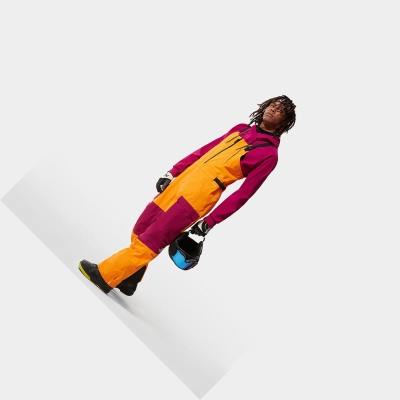 Men's The North Face DRAGLINE BIB Ski Pants Orange Pink Black | US369COAW