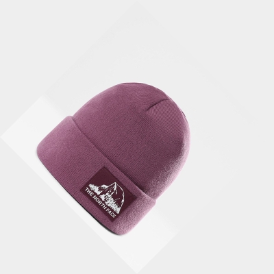 Men's The North Face Dock Worker Recycled Beanies Purple | US398ZHNY