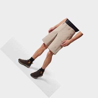 Men's The North Face Exploration Shorts Beige | US076BCYN