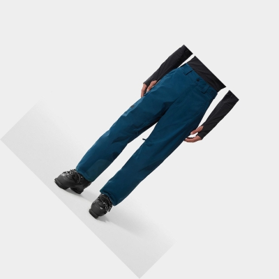 Men's The North Face Freedom Pants Blue | US436RLGE