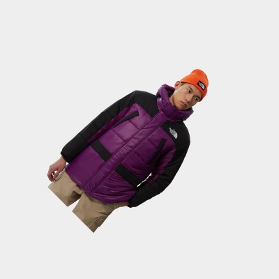 Men's The North Face Himalayan Insulated Parka Purple | US924DSGP