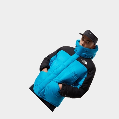 Men's The North Face Himalayan Parka Jackets Blue | US481VIMY