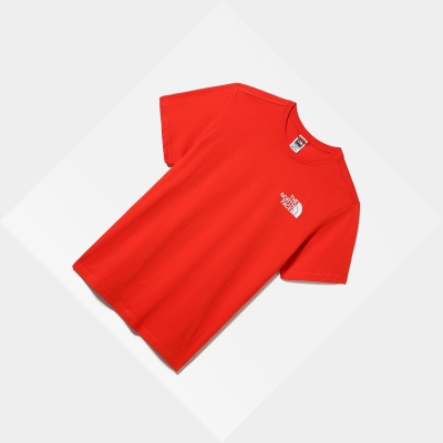 Men's The North Face INTERNATIONAL COLLECTION CLASSIC CLIMB T Shirts Red | US531ZTMX