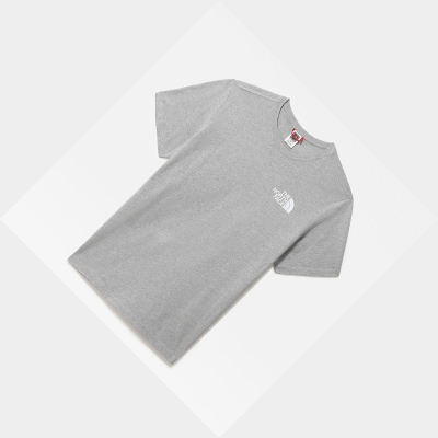 Men's The North Face INTERNATIONAL COLLECTION CLASSIC CLIMB T Shirts Light Grey | US821SANC