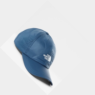 Men's The North Face Insulated Caps Blue | US896GESR