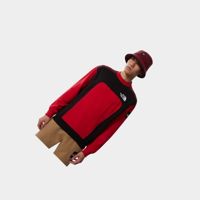 Men's The North Face MTN ARCHIVES CUT & SEW Sweaters Red | US574YUGF