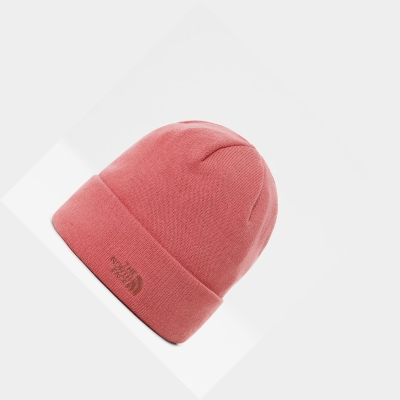 Men's The North Face Norm Shallow Beanies Rose | US234YFSO