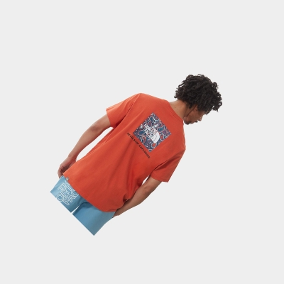 Men's The North Face Redbox T Shirts Blue Grey | US126IADJ