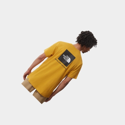 Men's The North Face Redbox T Shirts Yellow | US507RYLF