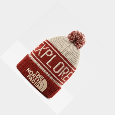 Men's The North Face Retro TNF Pom Beanies Dark Red | US498FASI