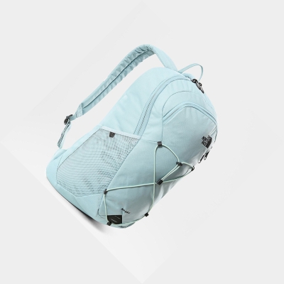 Men's The North Face Rodey Backpacks Blue | US872ZPLN