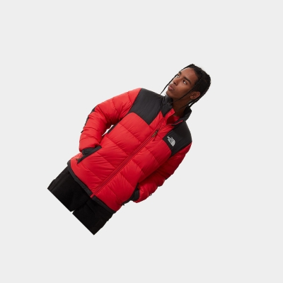 Men's The North Face SEARCH & RESCUE INSULATED Insulated Jackets Red | US296PCLY