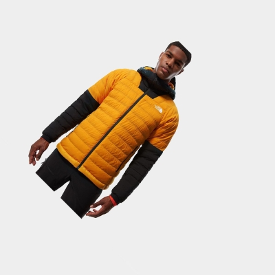 Men's The North Face Summit Series™ L3 50/50 Hooded Insulated Jackets Gold Black | US946LRJQ