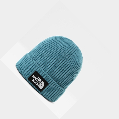 Men's The North Face TNF Logo Box Cuffed Beanies Blue | US387TULO