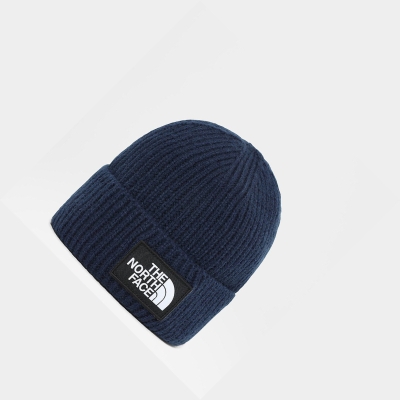 Men's The North Face TNF Logo Box Cuffed Beanies Navy | US427LZYB