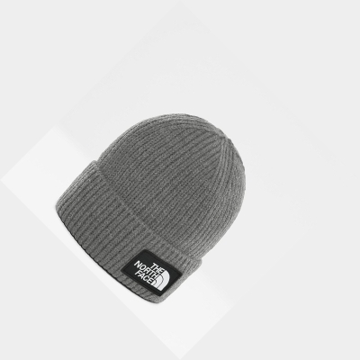 Men's The North Face TNF Logo Box Cuffed Beanies Grey | US562HOIP