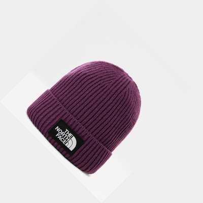 Men's The North Face TNF Logo Box Cuffed Beanies Purple | US695OZDR