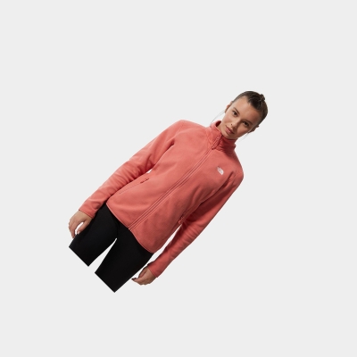 Women's The North Face 100 Glacier Full-Zip Fleece Sweatshirt Rose | US503QAYB