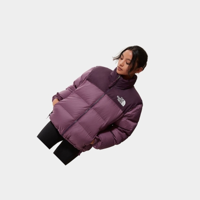 Women's The North Face 1996 Retro Nuptse Insulated Jackets Black Purple | US641JNCF