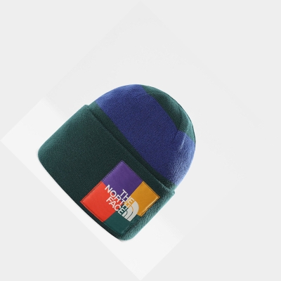 Women's The North Face Colourblock Knitted Beanies Green | US948WFYX