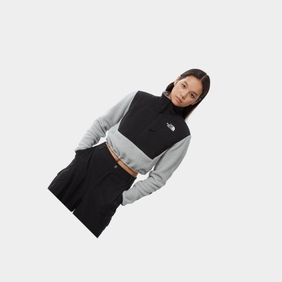 Women's The North Face Cropped Denali Fleece Jackets Light Grey | US023MBYA