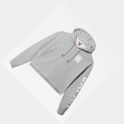 Women's The North Face INTERNATIONAL COLLECTION Hoodie Light Grey | US926NWQI