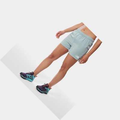 Women's The North Face MOVMYNT Shorts Silver Blue | US064LRYO