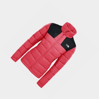 Women's The North Face Massif Down Jackets Pink | US602WSLC
