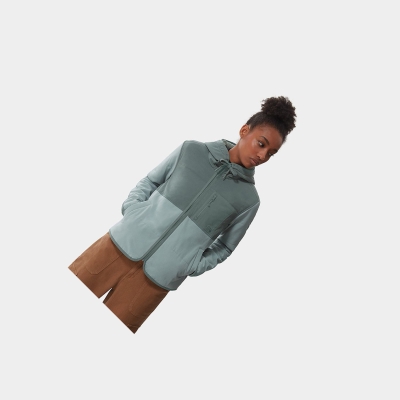 Women's The North Face Mountain Hoodie Silver Blue Green | US580KPHL