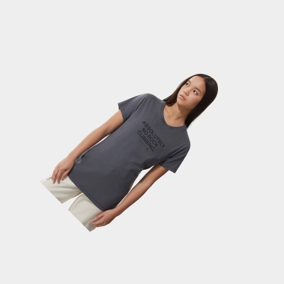 Women's The North Face New Climb T Shirts Grey | US675VXRB