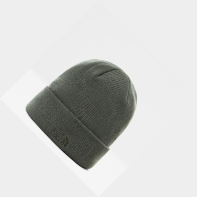 Women's The North Face Norm Shallow Beanies Green | US293MNOW