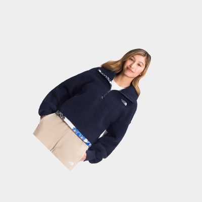 Women's The North Face PRINTED PLATTE SHERPA FLEECE Sweatshirt Blue | US052PWDE