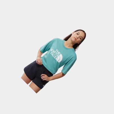 Women's The North Face Relaxed Summer T Shirts Blue | US187UDYM