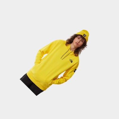 Women's The North Face SEARCH & RESCUE Hoodie Light Yellow | US268EDNZ